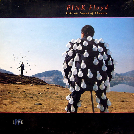 Pink Floyd : Delicate Sound Of Thunder (2xLP, Album, EMI)