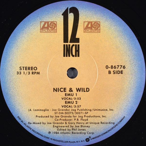 Nice & Wild : Diamond Girl (12", Single)