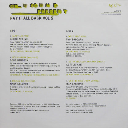 Various : Pay It All Back Vol. 5 (2xLP, Comp)