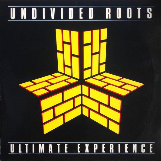 Undivided Roots : Ultimate Experience (LP, Album)