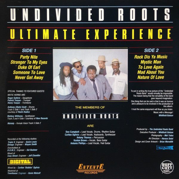 Undivided Roots : Ultimate Experience (LP, Album)