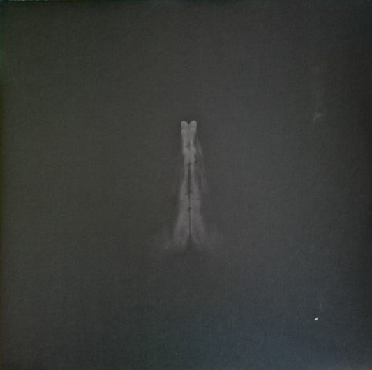 Sault : Untitled (Rise) (2xLP, Album)