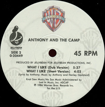 Anthony And The Camp : What I Like (12")