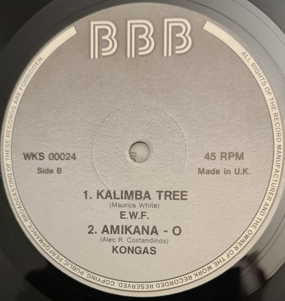 Airto Moreira / Lamont Dozier / Earth, Wind & Fire / Kongas : Paranà / Going Back To My Roots / Kalimba Tree / Anikana-O (12", Comp, Unofficial)