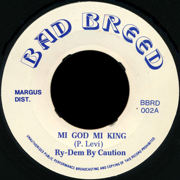 P. Levi* : Mi God Mi King / In-A-Mi-Yard (7")