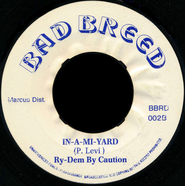 P. Levi* : Mi God Mi King / In-A-Mi-Yard (7")