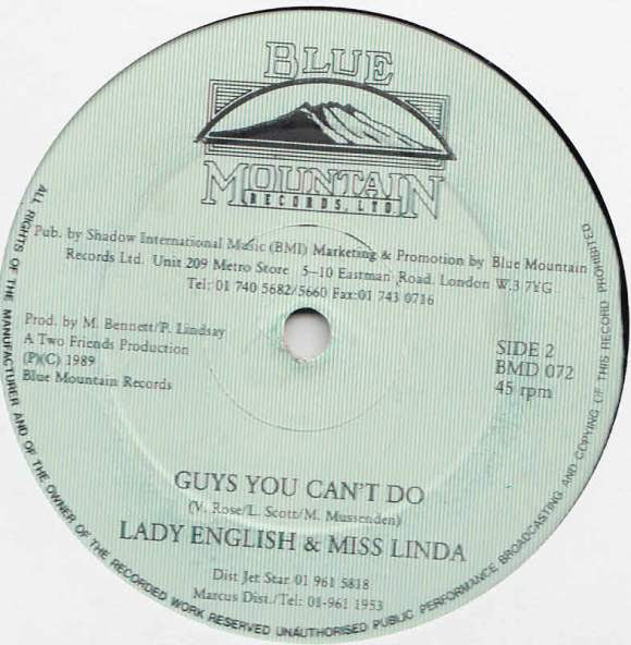 Brian/Tony Gold* & Bunny General / Lady English & Miss Linda : Girls You Can't Do / Guys You Can't Do (12")