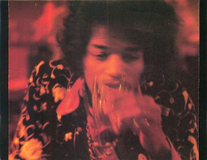 Jimi Hendrix : The McLaughlin Sessions Record Plant, NYC 1969 (CD, Unofficial)