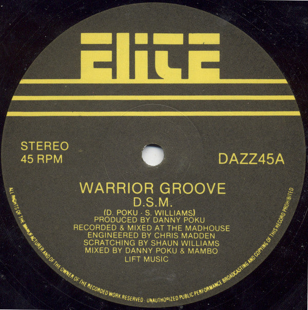 DSM : Warrior Groove (12")