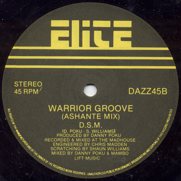 DSM : Warrior Groove (12")