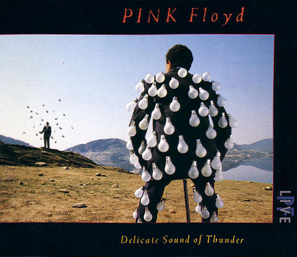 Pink Floyd : Delicate Sound Of Thunder (2xCD, Album, EMI)