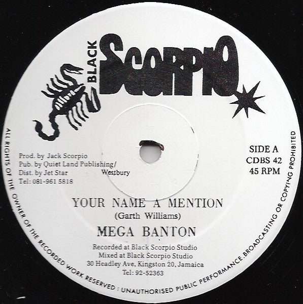 Mega Banton / Terry Ganzie & Mickey Singh* : Your Name A Mention / Down Inna Yard (12")