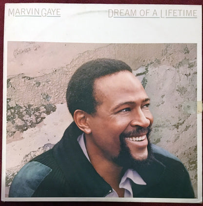 Marvin Gaye : Dream Of A Lifetime (LP, Album, RE)