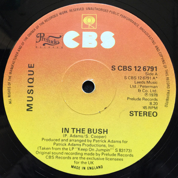 Musique : In The Bush (12")