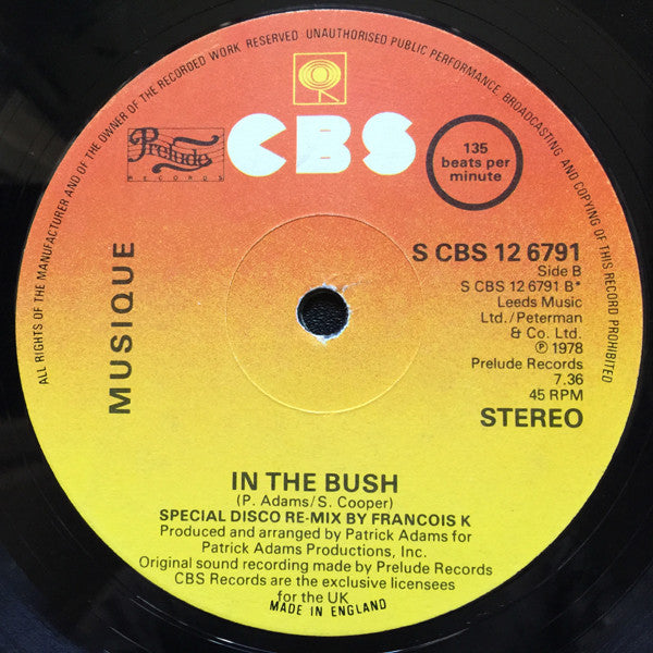 Musique : In The Bush (12")