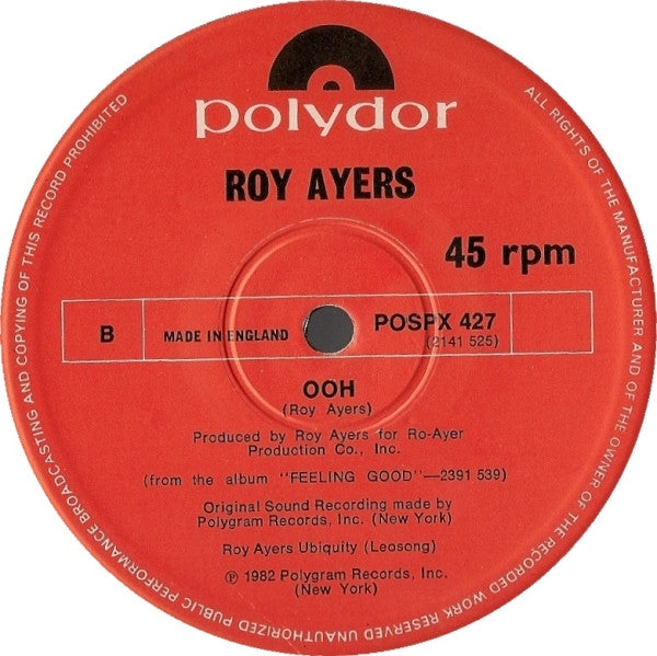 Roy Ayers : Turn Me Loose (12")