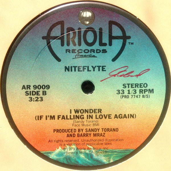 Niteflyte : If You Want It / I Wonder (If I'm Falling In Love Again) (12")