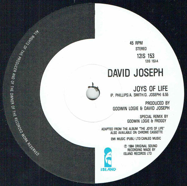 David Joseph : Joys Of Life (12", Single)