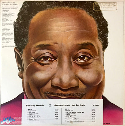 Muddy Waters : I'm Ready (LP, Album, Promo)