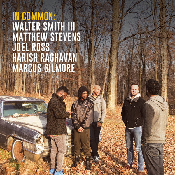 Walter Smith III, Matthew Stevens (2), Joel Ross (3), Harish Raghavan, Marcus Gilmore : In Common (LP, Album)