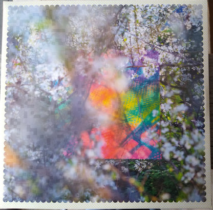 Four Tet : Sixteen Oceans (2xLP, Album, RP)