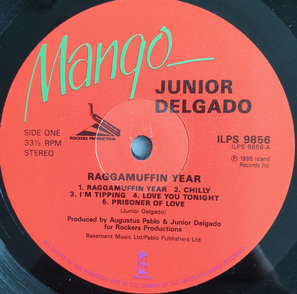 Junior Delgado : Raggamuffin Year (LP, Album)