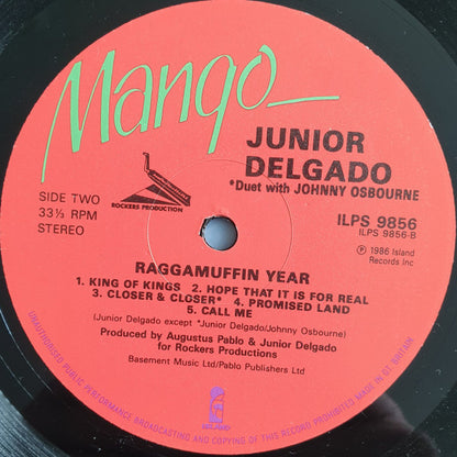 Junior Delgado : Raggamuffin Year (LP, Album)