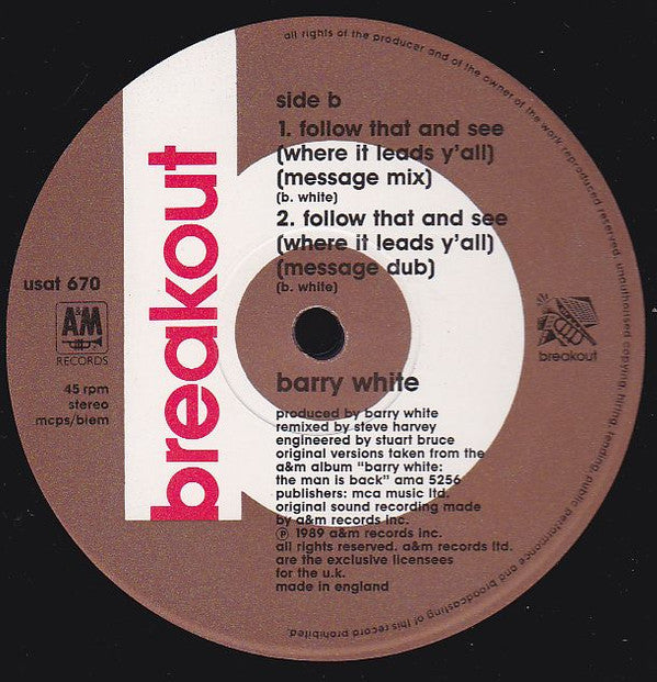 Barry White : Follow That And See (Where It Leads Y'All) (12")