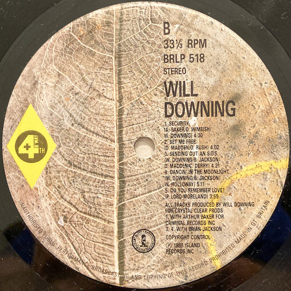 Will Downing : Will Downing (LP, Album)