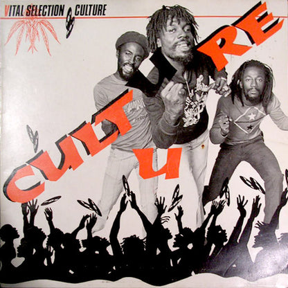 Culture : Vital Selection (LP, Comp)