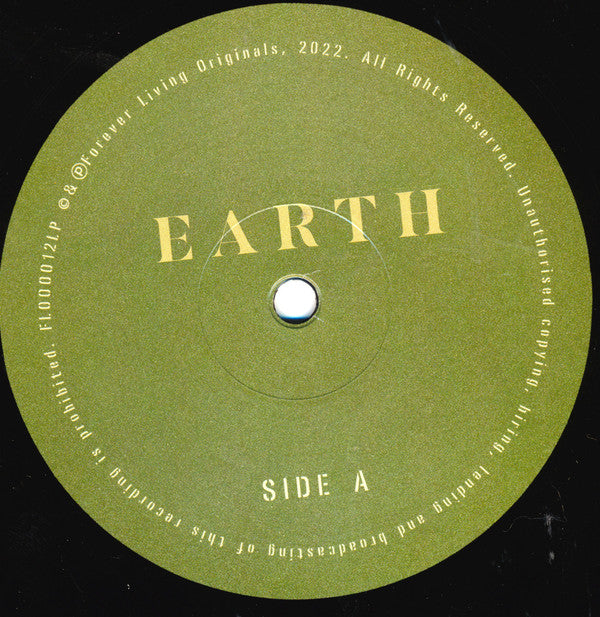 Sault : Earth (LP, Album)