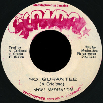 Ansel Meditation / The Roots Radics : No Gurantee / No Gurantee (Version) (7")