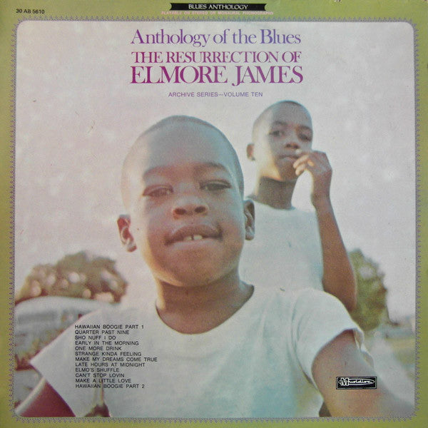 Elmore James : The Resurrection Of Elmore James (LP, Comp, RE)