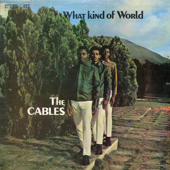 The Cables : What Kind Of World (LP, Album, RP)