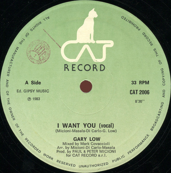 Gary Low : I Want You (12", Single)