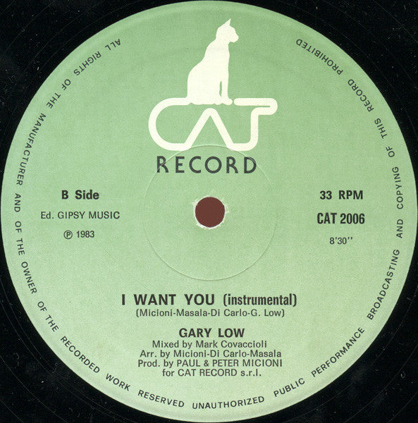 Gary Low : I Want You (12", Single)