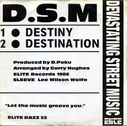 DSM : Destiny (12")