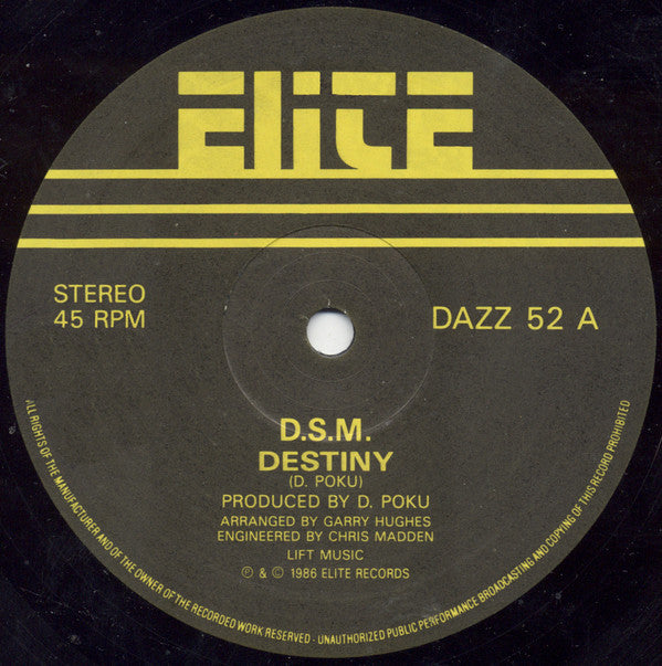 DSM : Destiny (12")