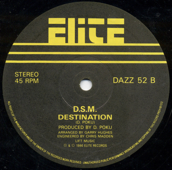 DSM : Destiny (12")