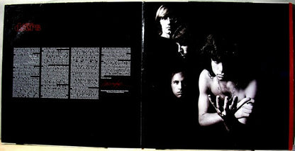 The Doors : The Best Of The Doors (2xLP, Comp, RM, Gat)