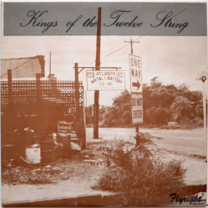 Various : Kings Of The Twelve String (LP, Comp, Mono)