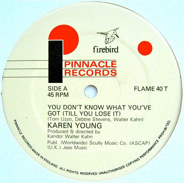 Karen Young : You Don't Know What You've Got... Till You Lose It ! (12", Single)