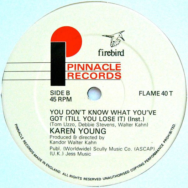 Karen Young : You Don't Know What You've Got... Till You Lose It ! (12", Single)