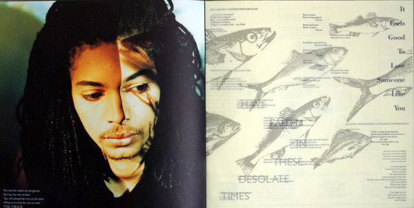 Terence Trent D'Arby : Terence Trent D'Arby's Neither Fish Nor Flesh: A Soundtrack Of Love, Faith, Hope And Destruction (LP, Album, Ltd)