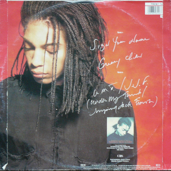 Terence Trent D'Arby : Sign Your Name (12")