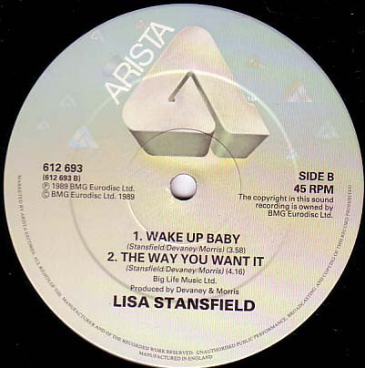 Lisa Stansfield : All Around The World (12", Single)